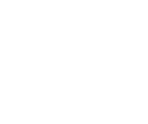 Morgan Stanley carousel logo white