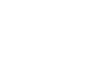 Palmerston North City Council logo (white)