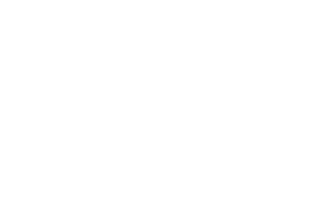 Zazzle carousel logo white