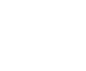 BigCommerce carousel logo white