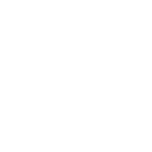 Advance Auto Parts carousel logo white