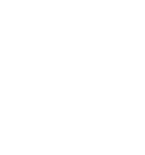 Essent carousel logo white