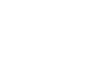 Meesho carousel logo white