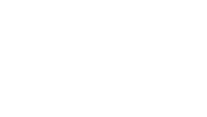 Vitality logo white