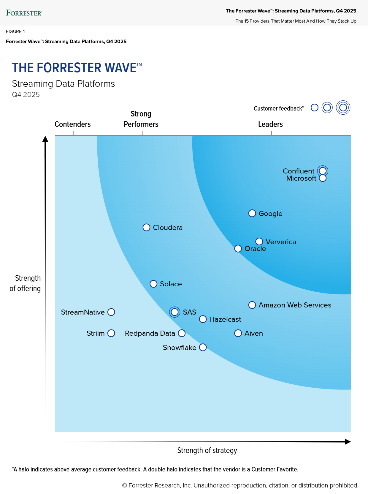 forrester wave 2025 img