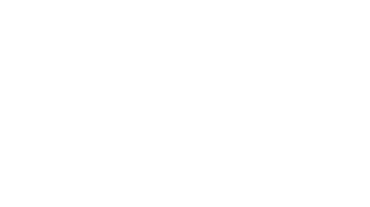 WIX logo (white)
