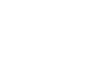BRI carousel logo white