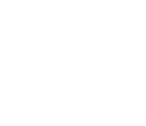 Capital One logo (white)