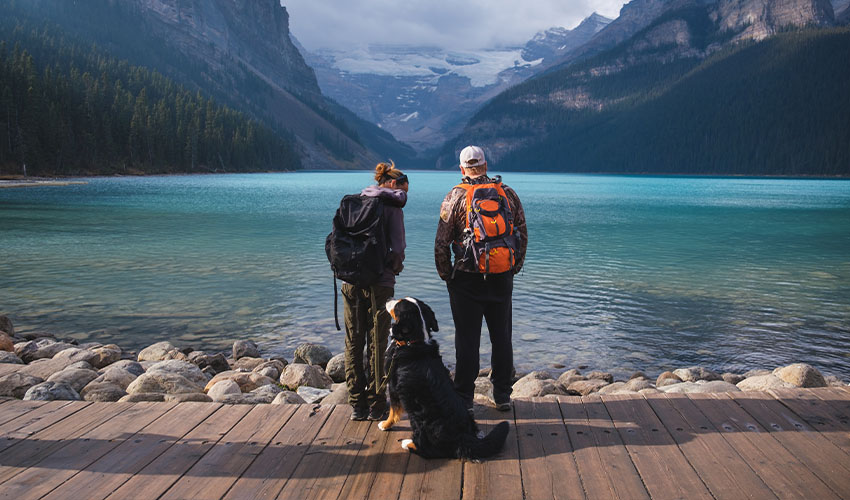 2026Q2 CAA CCG Digital Pet Friendly Getaways-Refresh IMAGE1