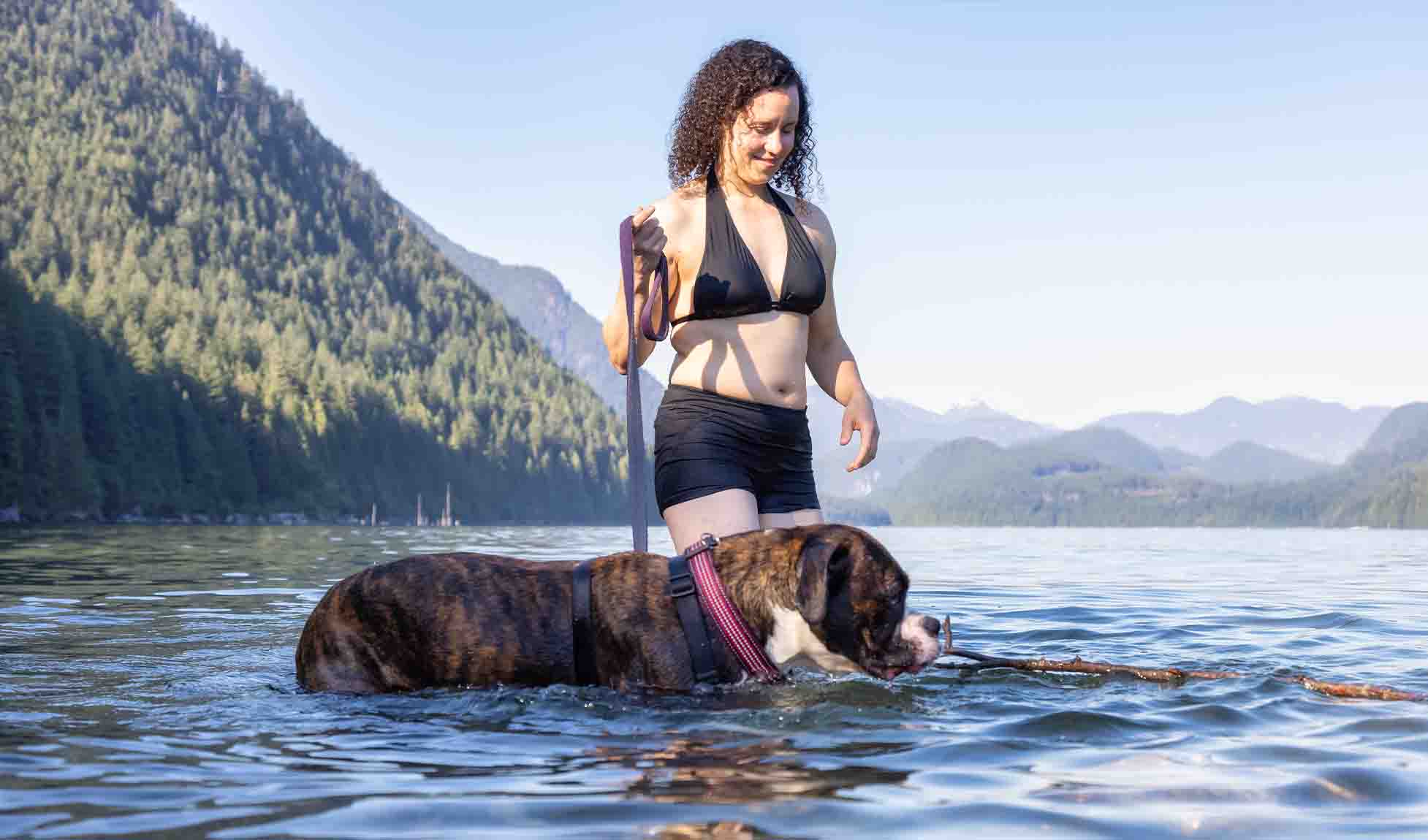 2026Q2 CAA CCG Digital Pet Friendly Getaways-Refresh IMAGE12