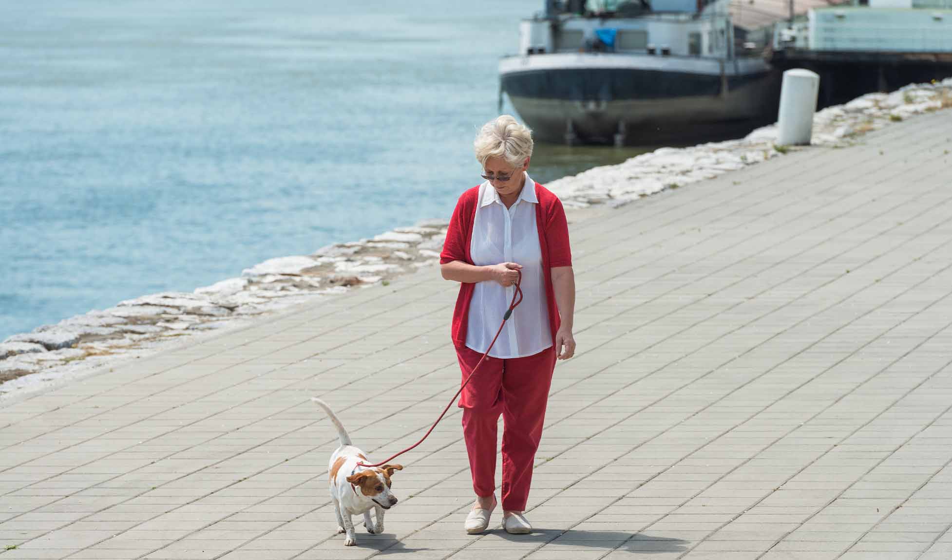 2026Q2 CAA CCG Digital Pet Friendly Getaways-Refresh IMAGE2(2)