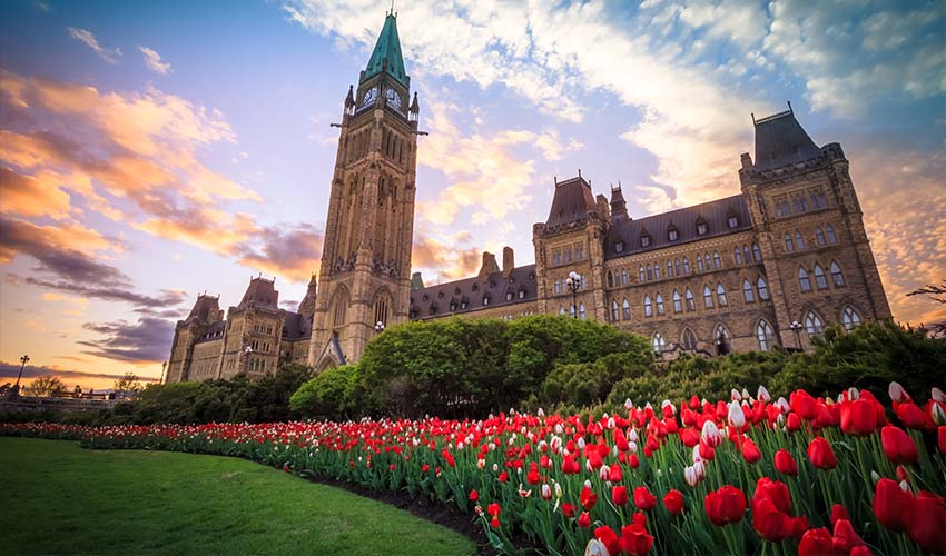 2026Q2 CAA SCO Ontario Spring Getaways IMAGE1
