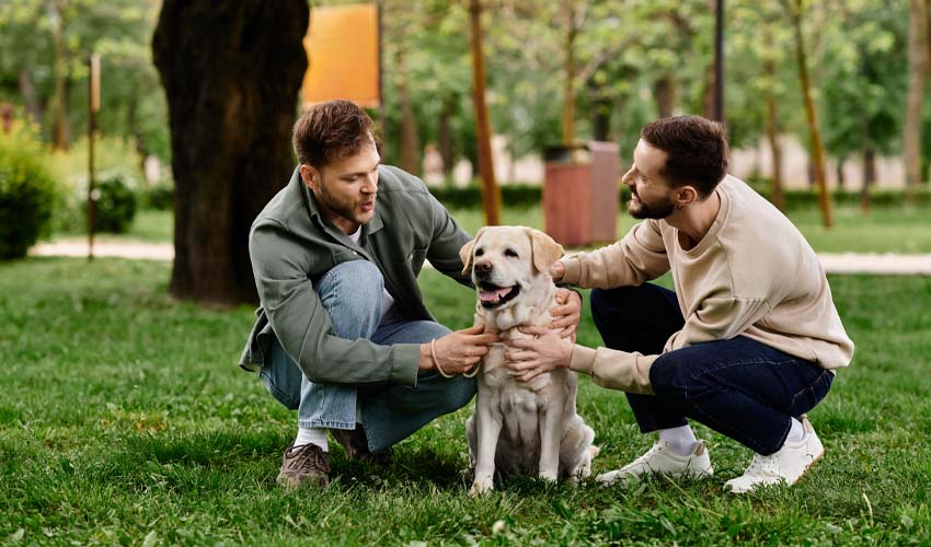 CAA Digital Pets Plus Us Protection LightFieldStudios(Envato)