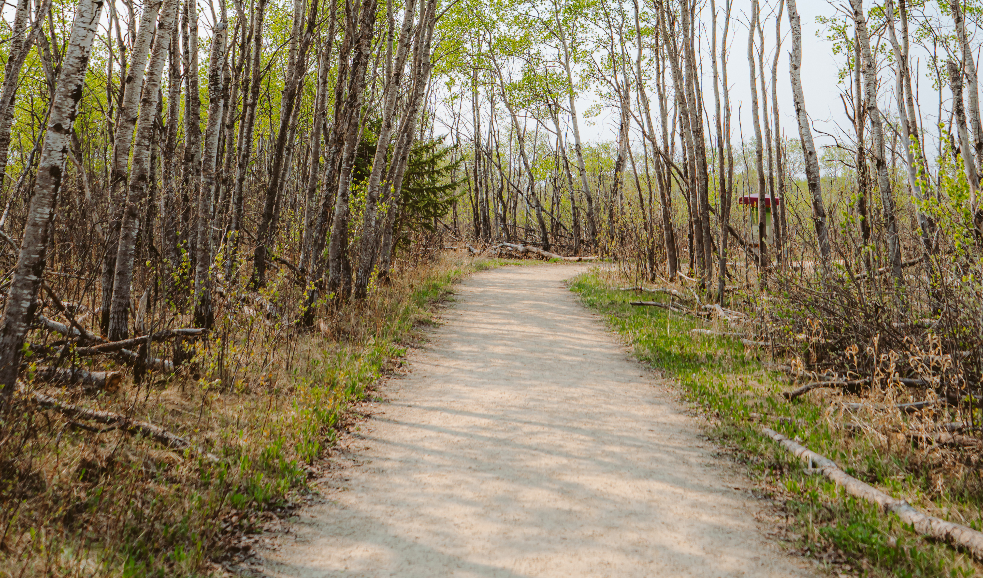 SEPT26 CAA MB Digital 5 Manitoba Bike Routes to Explore This Fall-Blog Image 4
