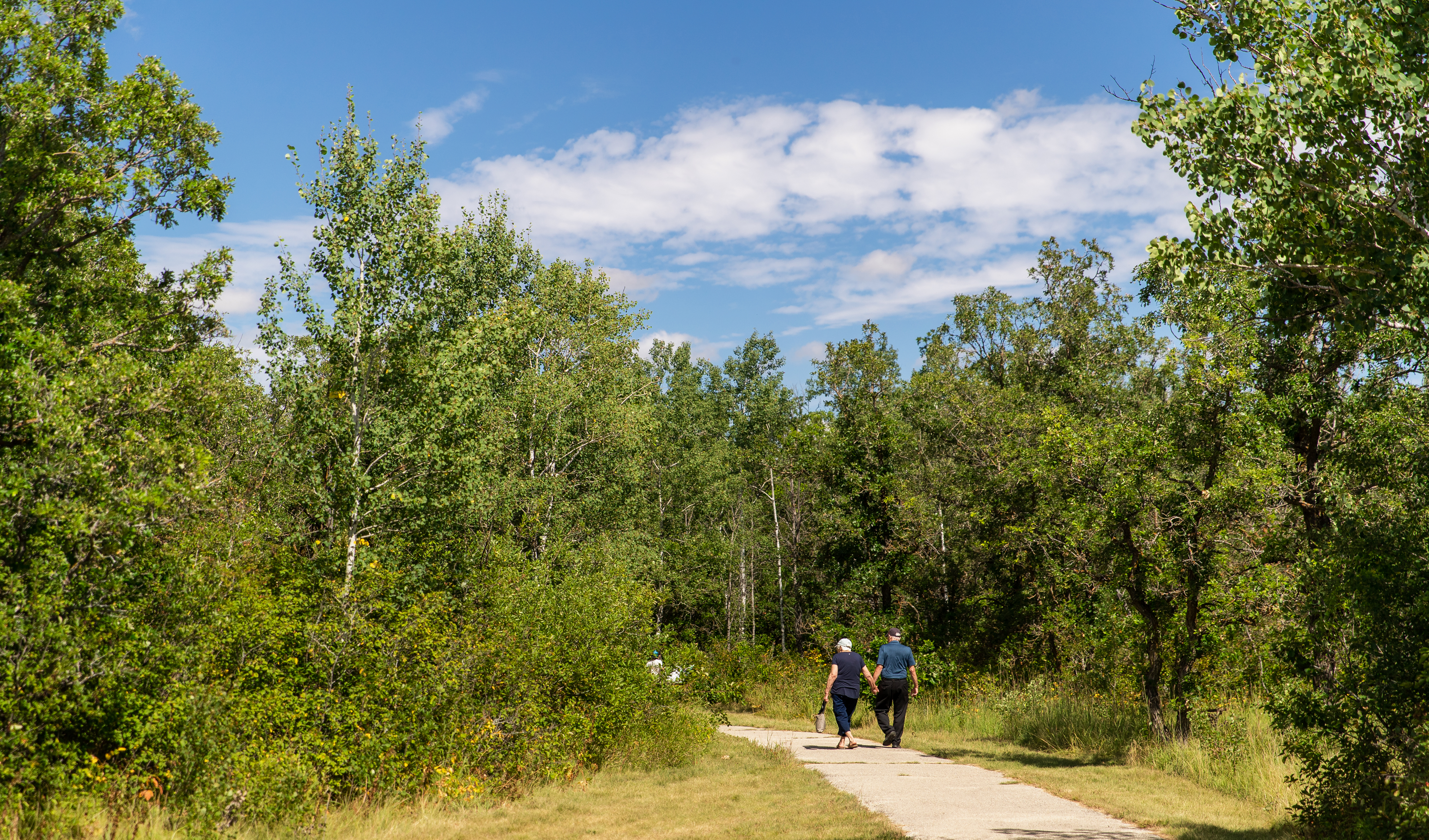SEPT26 CAA MB Digital 5 Manitoba Bike Routes to Explore This Fall-Blog Image 3
