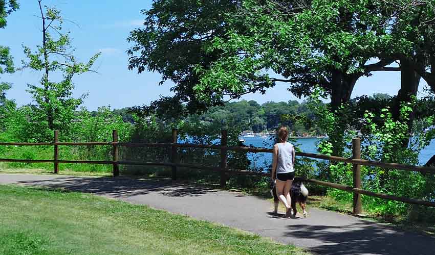 2026Q2 CAA CCG Digital Pet Friendly Getaways-Refresh IMAGE9