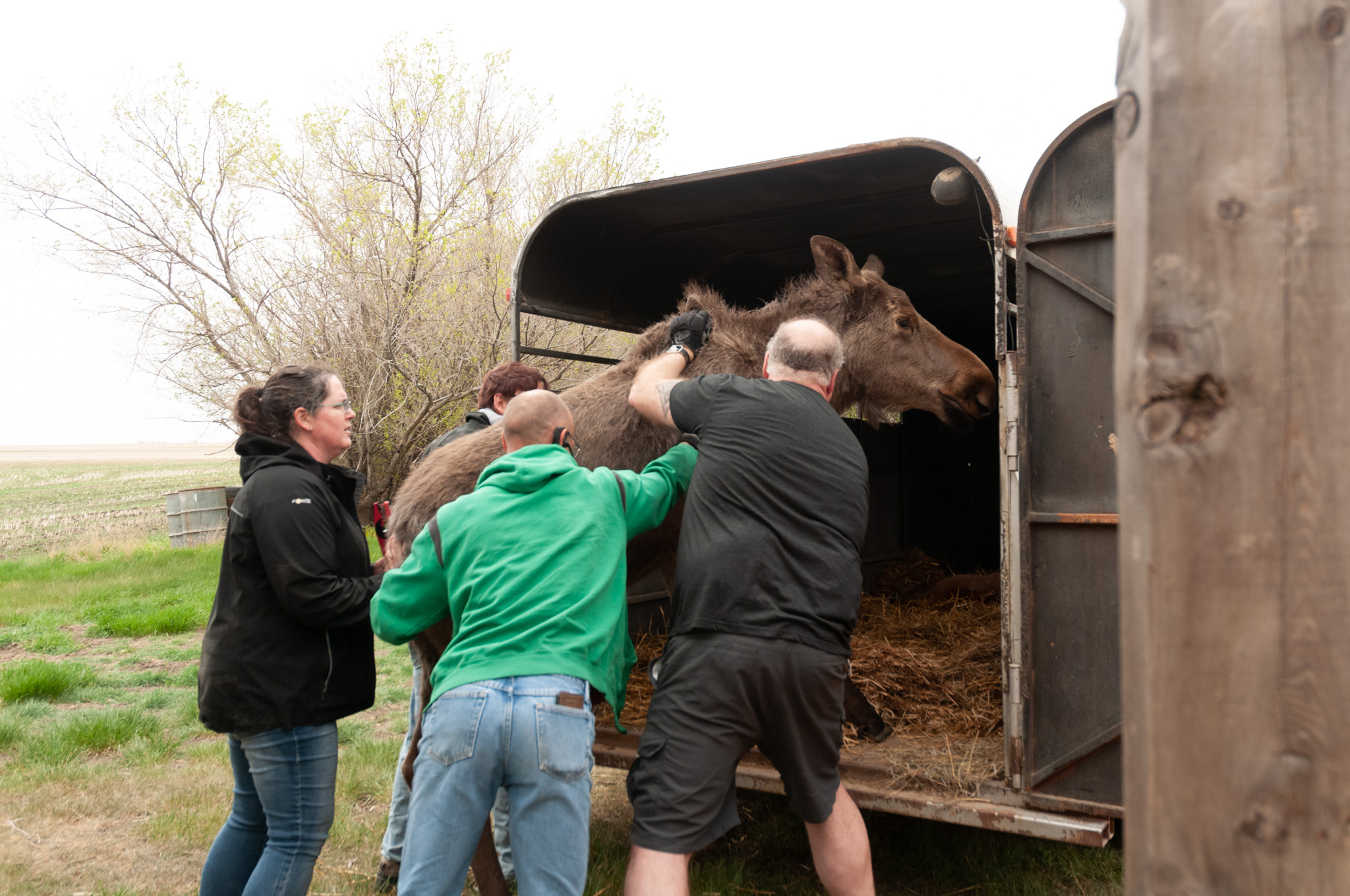 Meet the Wildlife Rehab Heroes Helping Animals Heal 