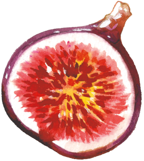 fig home