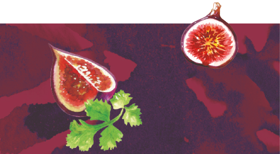 Fig + Coriander