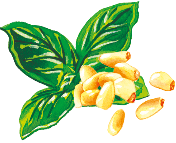 pine nuts recipe page