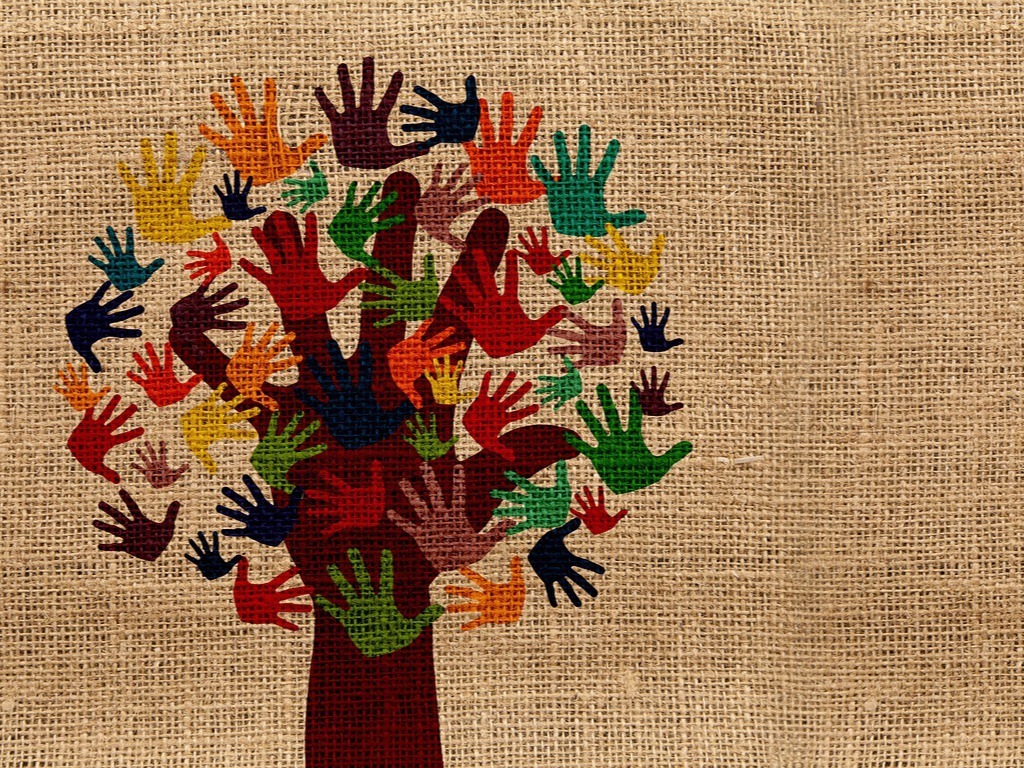 How to create a Volunteers’ expenses policy