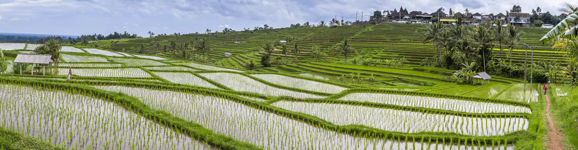 BALIKPAPAN SEPINGGAN
