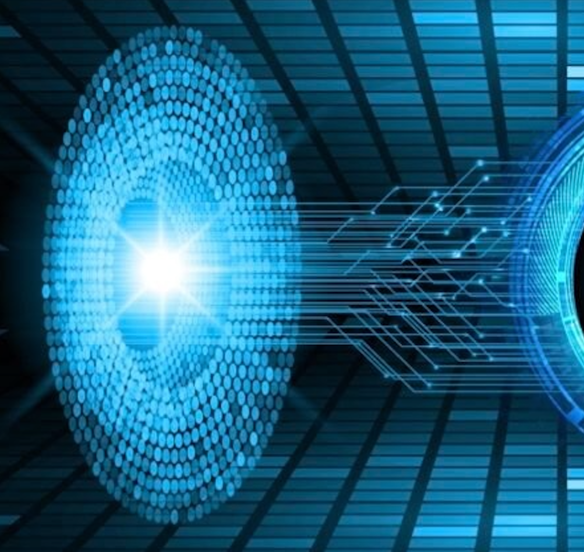 Digitization and Cybersecurity