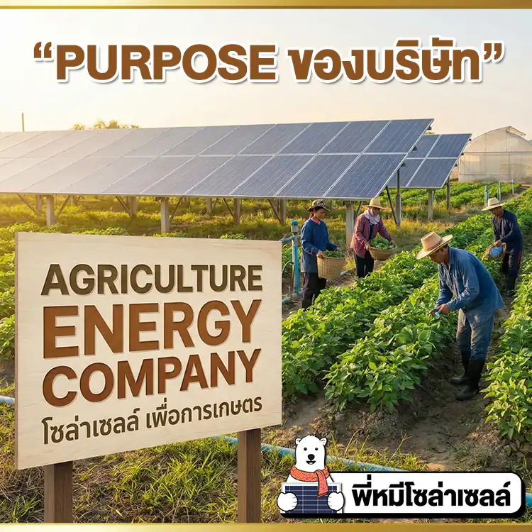 porpose-mheesolarcell