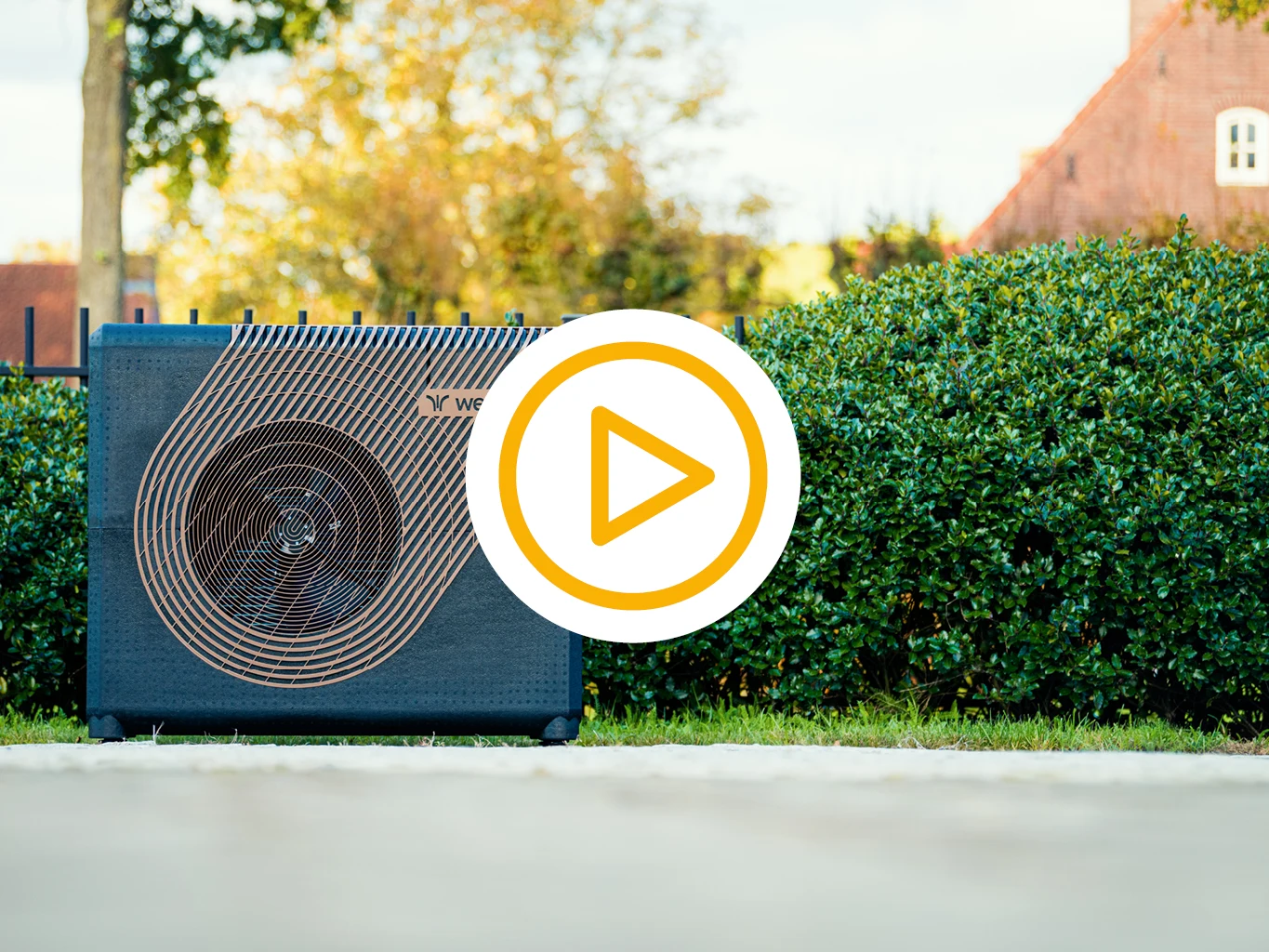 Weheat sparrow met video play knop