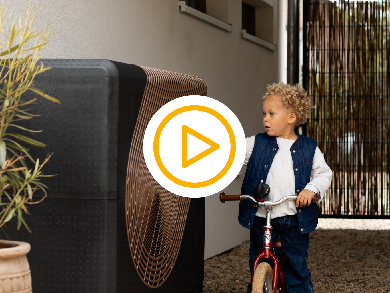 Weheat sparrow met video play knop
