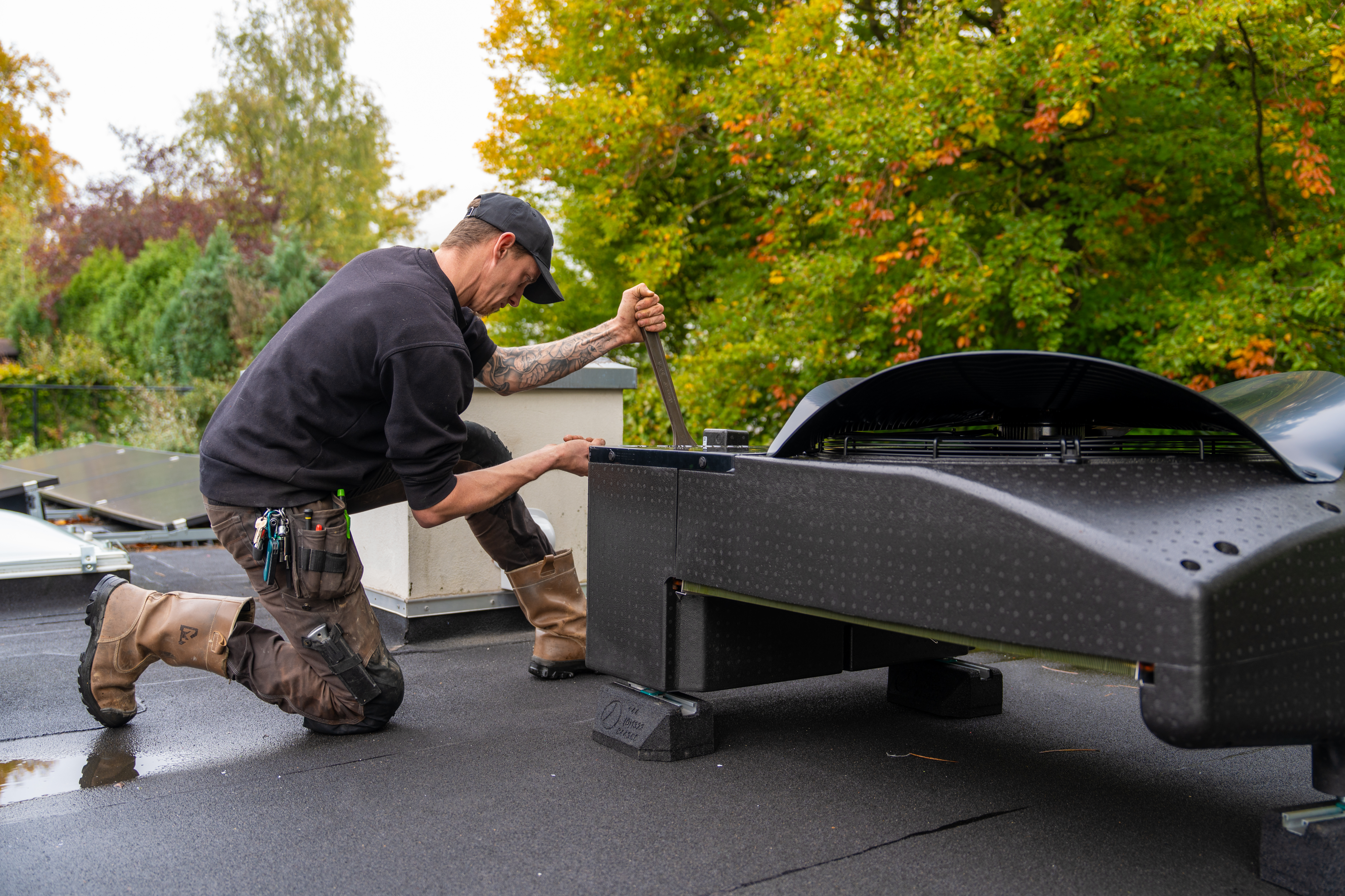 Afbeelding  - Blackbird onderhoud