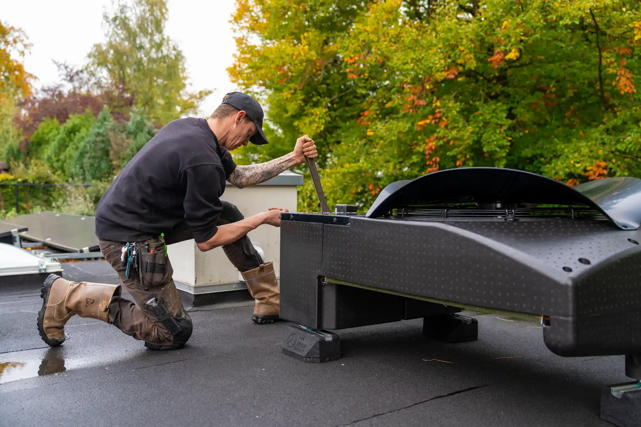 Afbeelding - Blackbird onderhoud