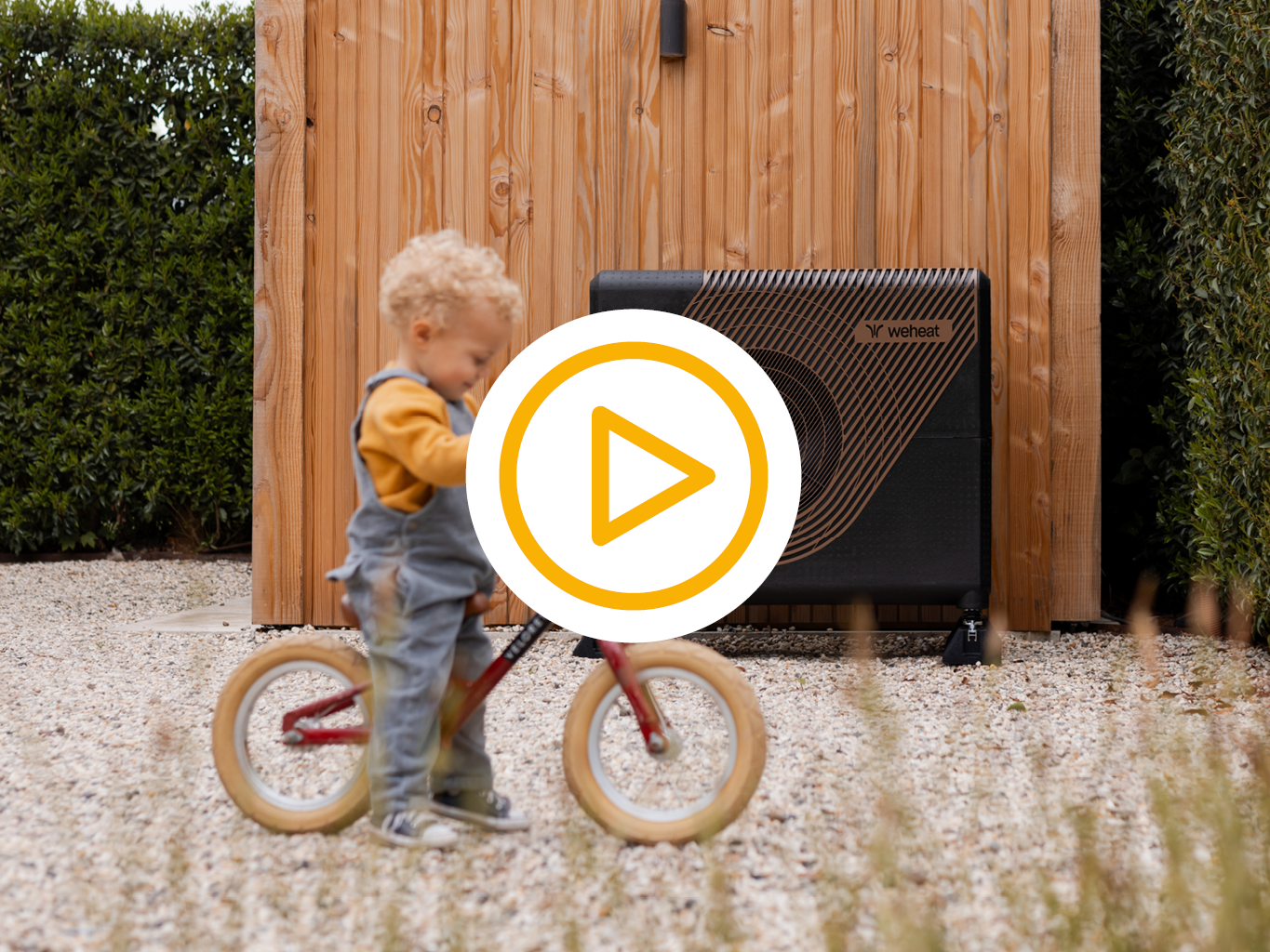 Weheat sparrow met video play knop