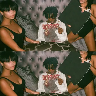 Playboi Carti cover art