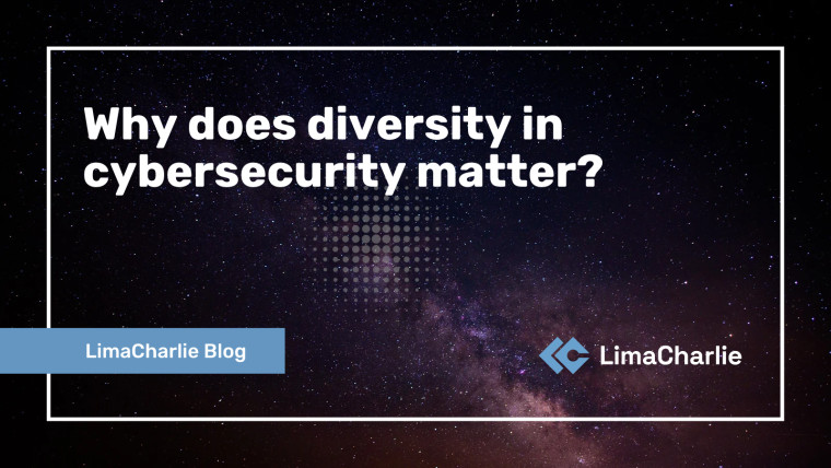Why does diversity in cybersecurity matter?