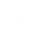 Zeek Icon