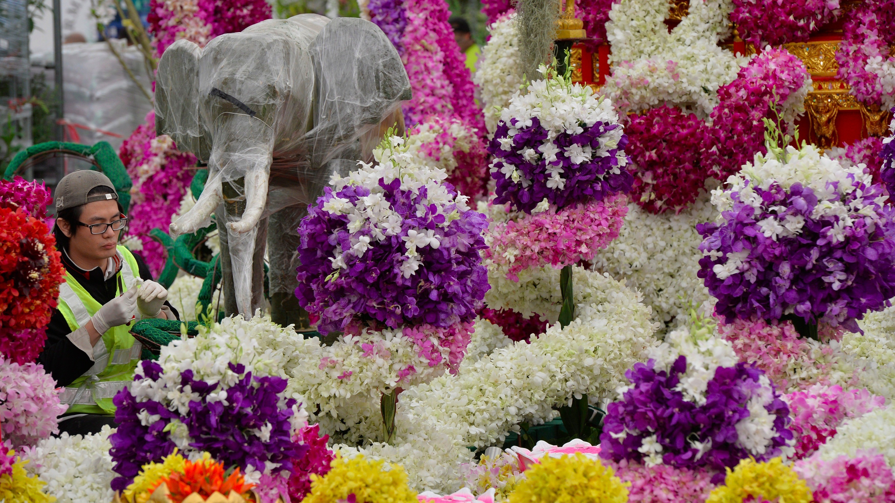 Цветы британии. Челси Флауэр шоу. Челси Англия цветы. Chelsea Flower show праздник в Англии. Выставка цветов в Челси Лондон Великобритания.