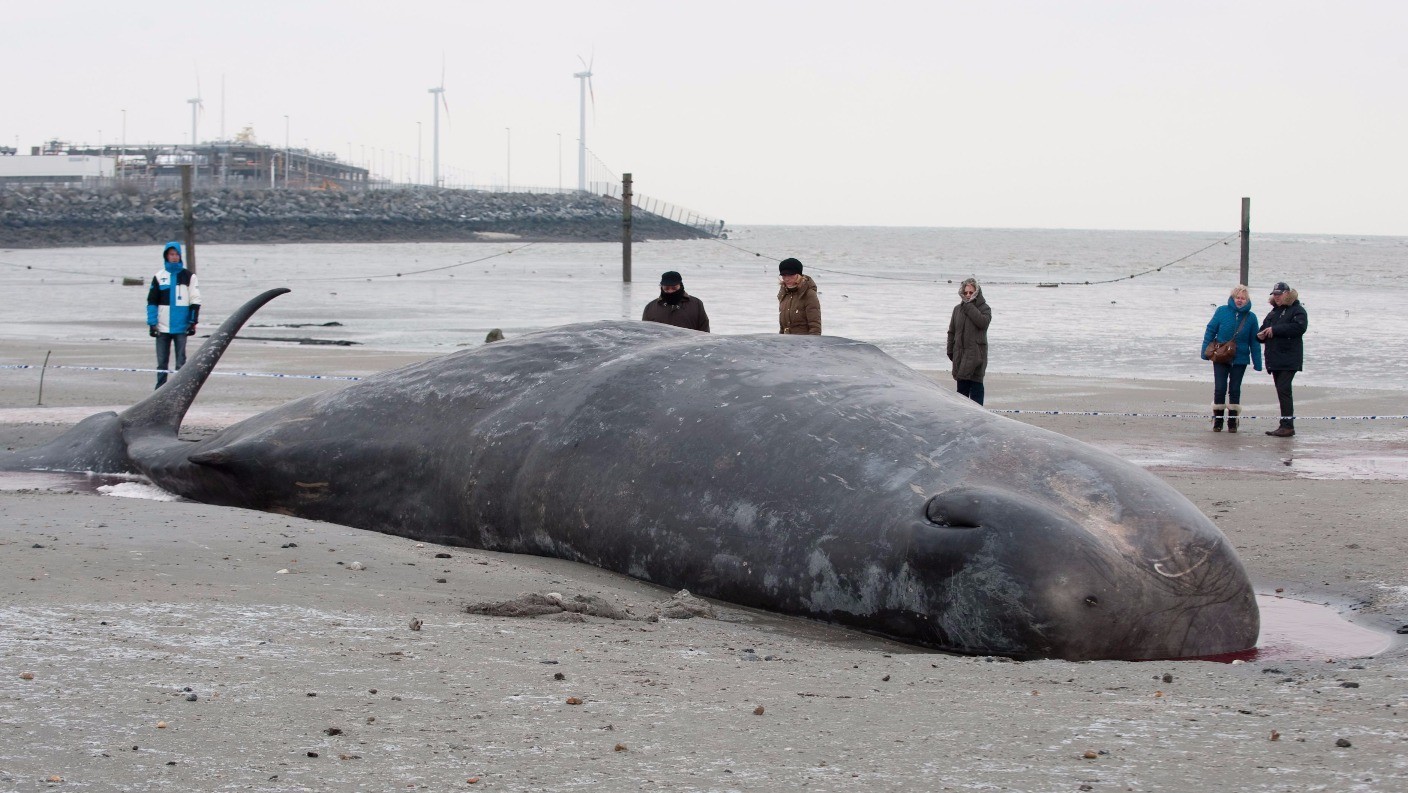 The 10 weirdest laws in Britain Good Morning Britain