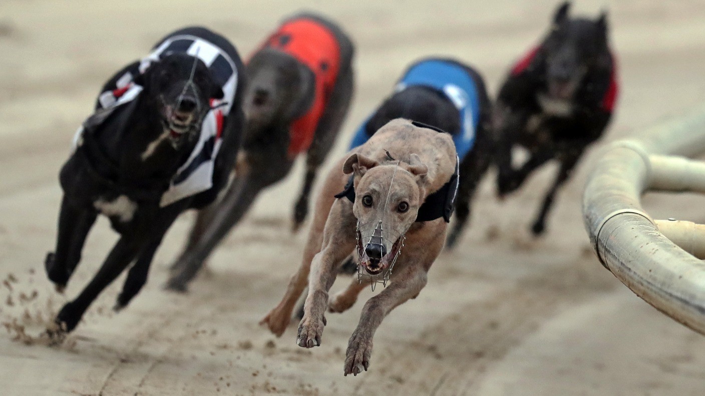 Should greyhound racing be banned? Good Morning Britain