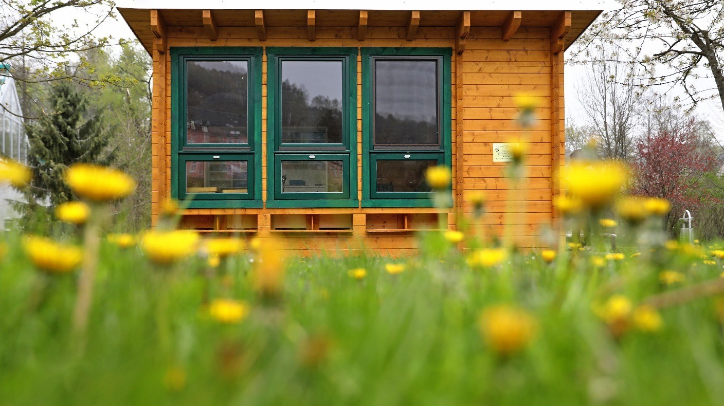 Hayfever sufferers warned as 'pollen bomb' hits UK | Good Morning Britain