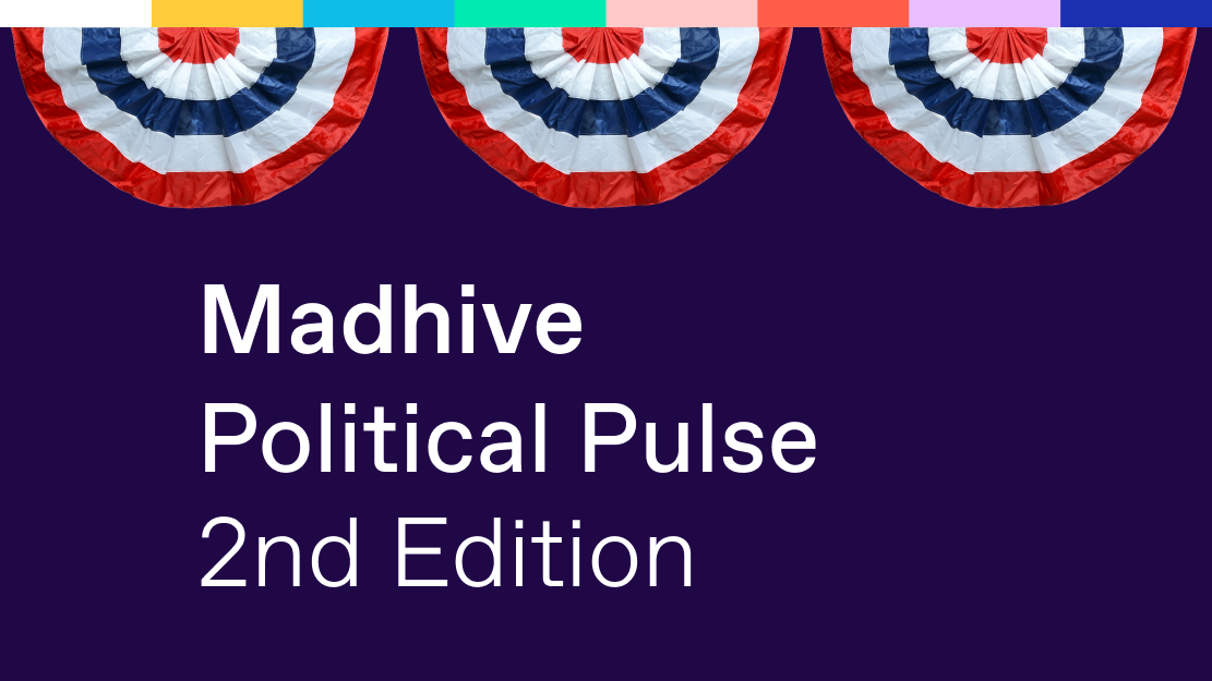 Political Pulse 2nd Edition