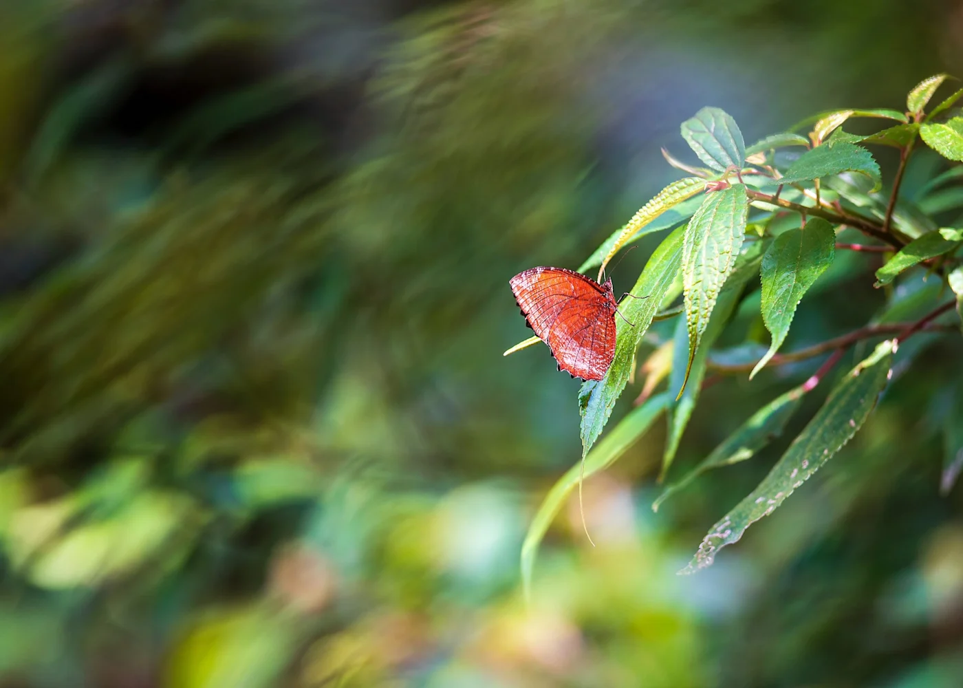 pexels-klub-boks-8778119-scaled-1