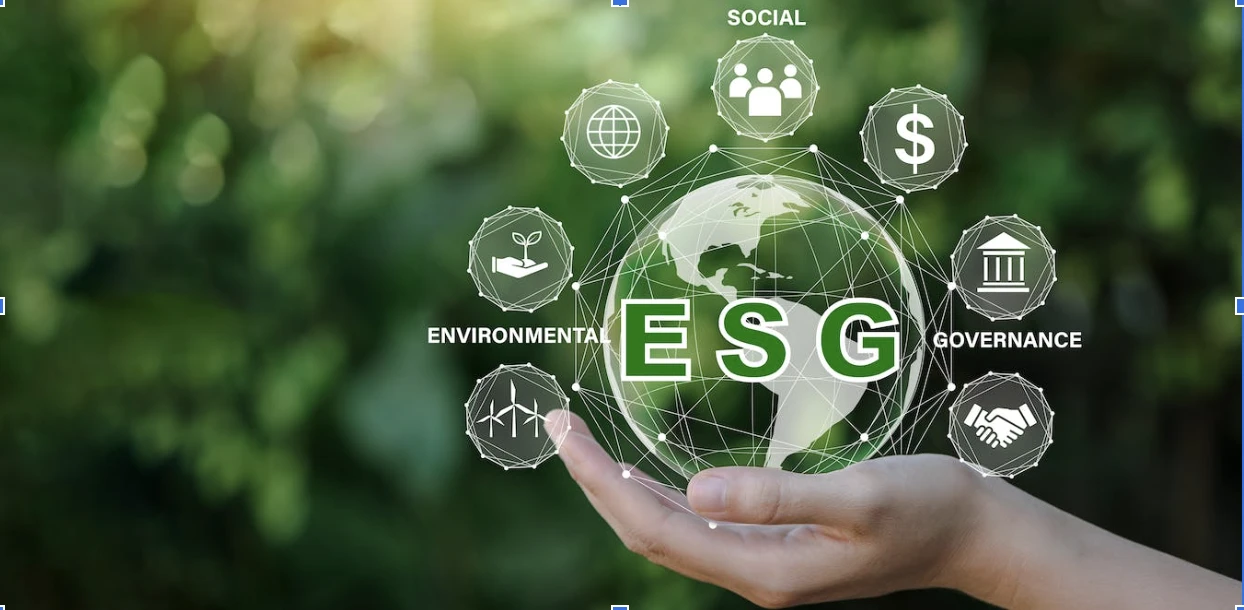 Screenshot-2023-08-24-at-08.33.47