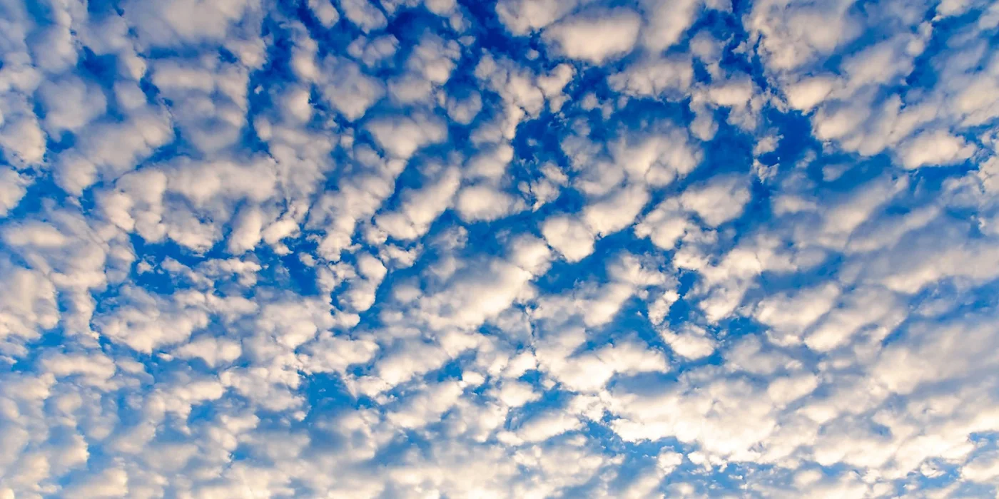 altocumulus