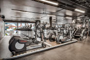 Pust enkelt med våre toppmoderne kardiomaskiner på Fresh Fitness treningssenter Lindeberg. Utforsk våre tredemøller og ellipsemaskiner for en effektiv og givende trening. 