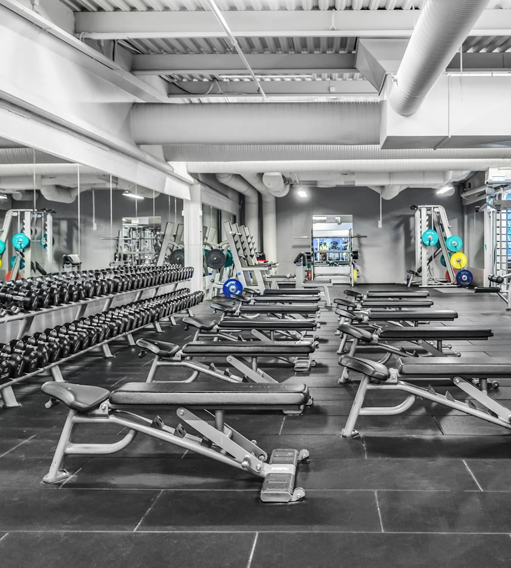 Fresh Fitness Skårer Fresh Fitness Skårer