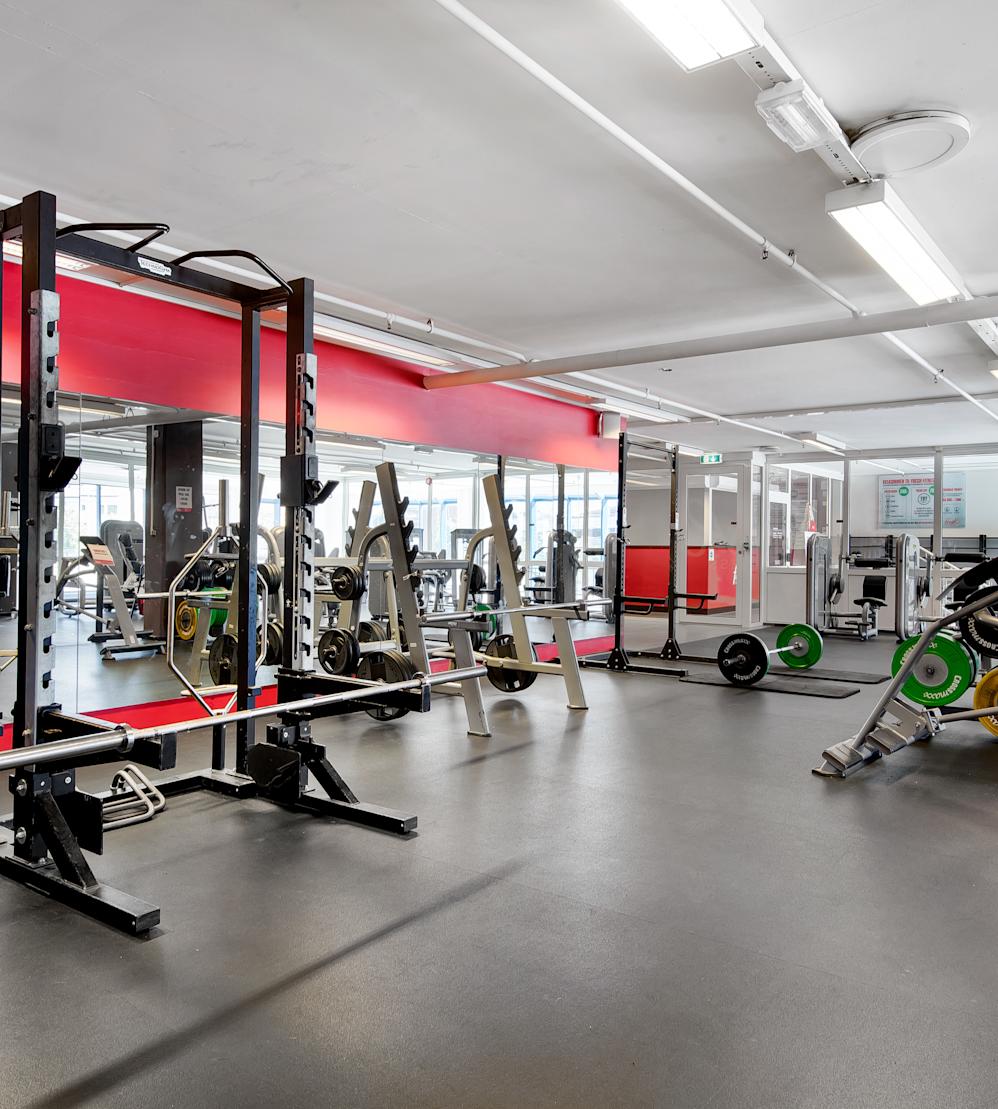 Fresh Fitness Ski Fresh Fitness Ski