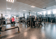På Fresh Fitness-treningssenteret på Ås tilbyr vi et imponerende utvalg av styrketreningsapparater som er designet for å hjelpe deg med å nå dine treningsmål og ta styrketreningen din til neste nivå.
