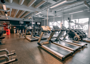 Opplev effektiv kardiotrening på våre toppmoderne tredemøller på Fresh Fitness Lier treningssenter. Med et variert utvalg av kardiostasjoner tilgjengelig, kan du ta treningen til et nytt nivå og forbedre din kondisjon og helse.