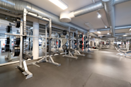 På Fresh Fitness treningssenter på Valentinlyst tilbyr vi et topp moderne frivektsområde for effektiv styrketrening. Vårt frivektsområde har et bredt utvalg av frivektsutstyr, som vekter og styrkeapparater, som passer for alle nivåer av treningserfaring.